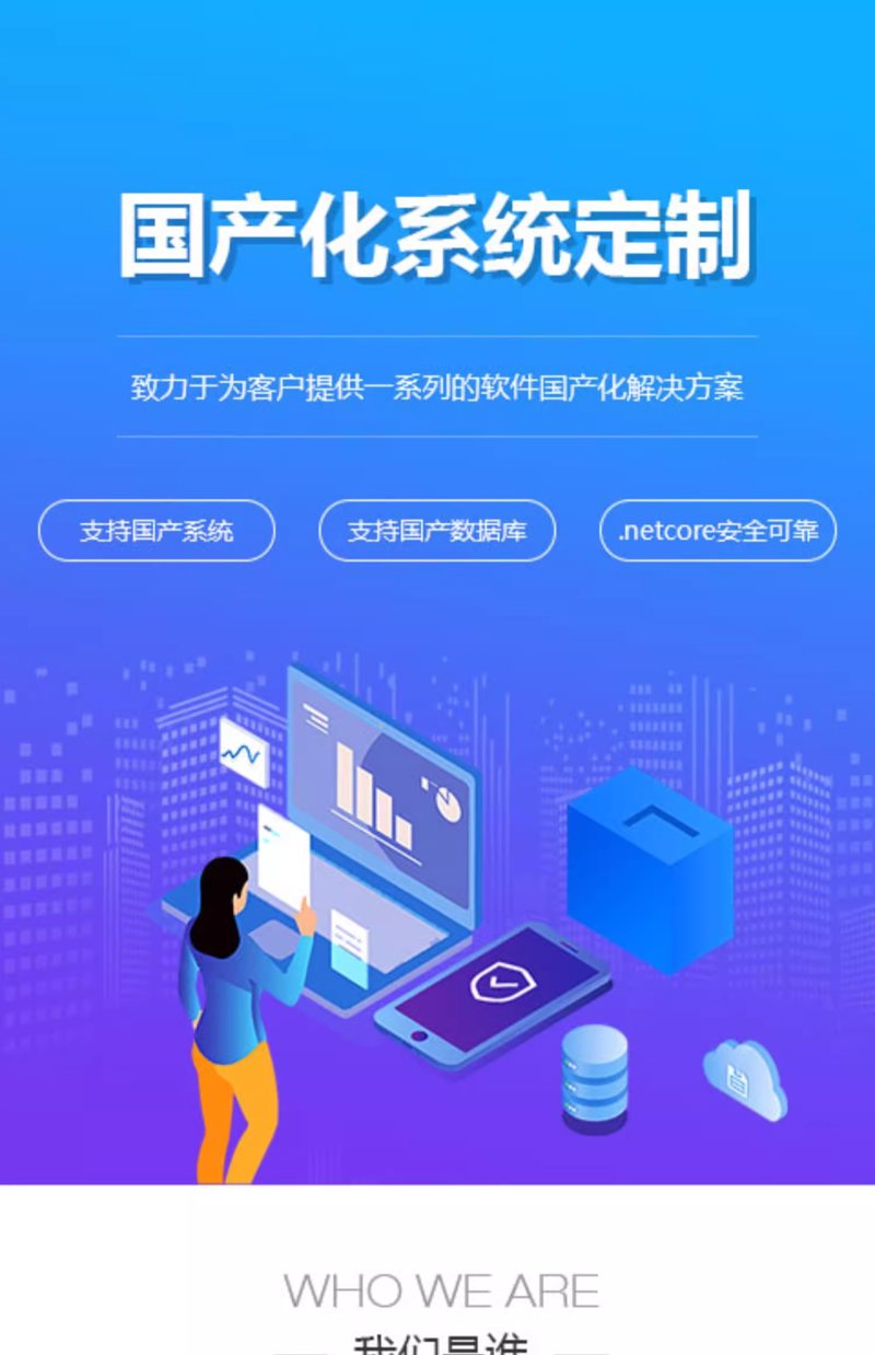 系统定制开发：应对企业需求的新利器